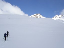 L&#039;Ouille Allegra